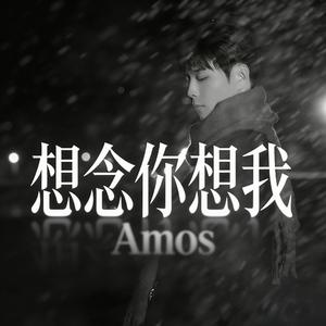 想念你想我