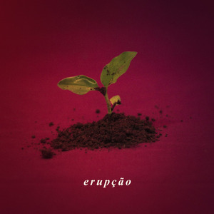 Erupção