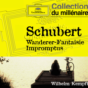 Fantasy In C Major "Wanderer" D.760:4. Allegro