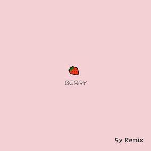 李佳隆-Berry（5y remix）