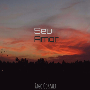 Seu Amor