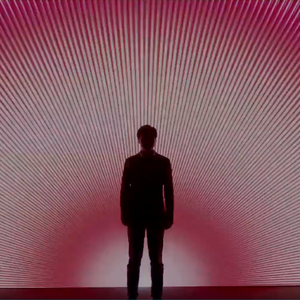 趋于完美的进化