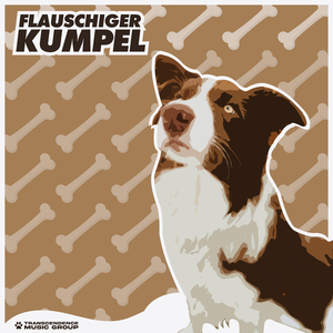 Seren Shih Tzu Symphonie