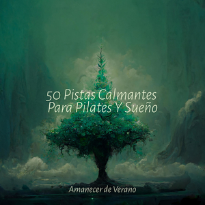 Reverie Encantada Barrida por los Vientos