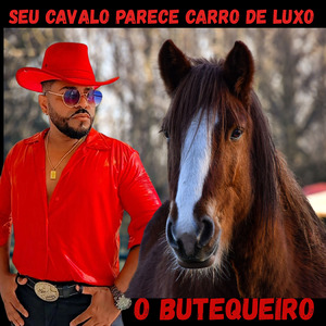SEU CAVALO PARECE CARRO DE LUXO