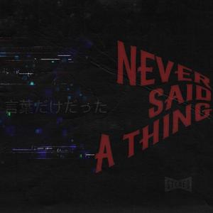 Never Said A Thing (feat. gamertagdevin)