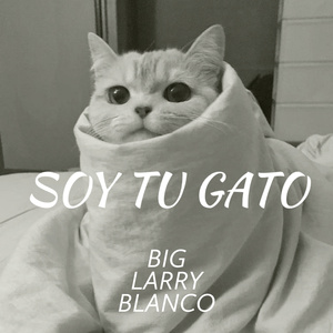 soy tu gato (Slowed Version)