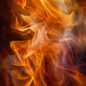 Las Brasas Brillan Bajo La Noche Estrellada