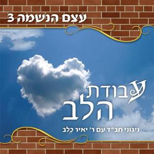 Nigun of Kremenchug (Reb Avraham Charitonov from Nikolayev)