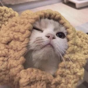 我是朴宰范