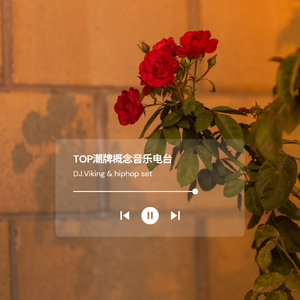 DJViking-2021跨年音乐派对特辑