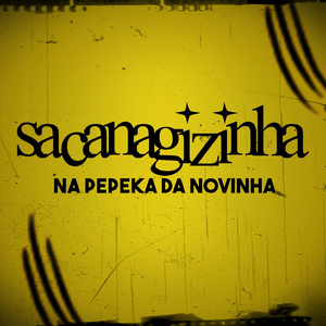 Sacanagizinha na ppk da Novinha
