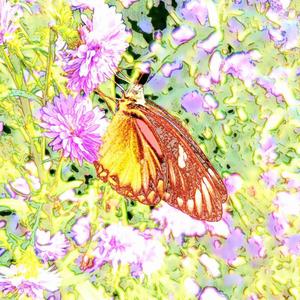 From The Boy To The Man