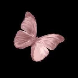 我不要再想起你