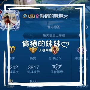 王者荣耀-偷猪的妹妹ლ(Original Mix)