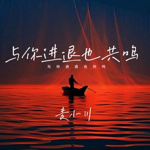 与你进退也共鸣