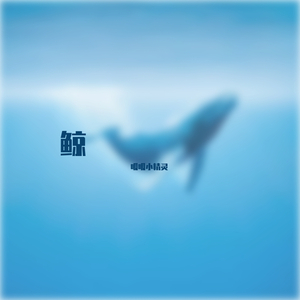 whale（鲸）