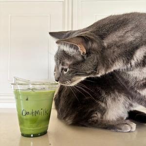 OATmilk (feat. STACY)