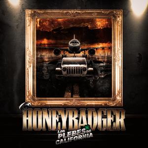 Honeybadger