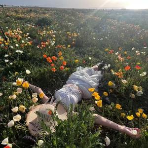 DP龙猪-全部都是你(Dj笑笑 Rmix 2025)