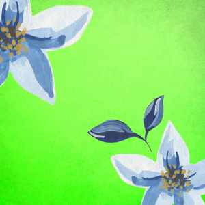 柔和的写作时刻