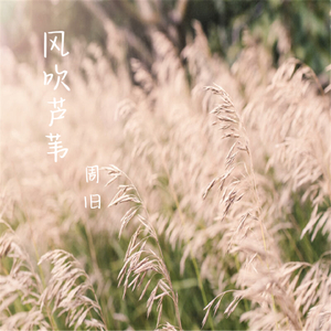 匆匆那年的时光