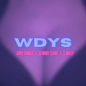 Wdys (feat. E milly)