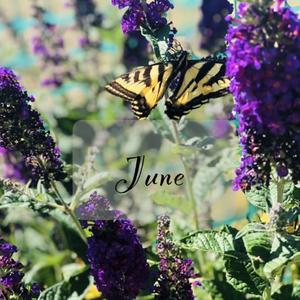 June