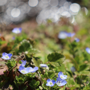 スタンドバイミー (feat. 鏡音レン)