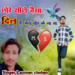 Chhoree Shishe Jaisa Dil Hai Mera Tod Ke Na Ja