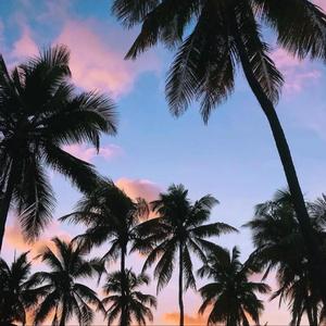 Đêm Buồn Cô Đơn (Demo)