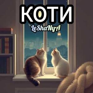 Коти