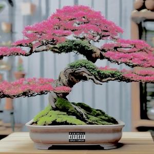 bonsai