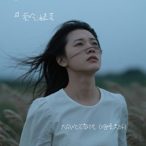 大风吹不散忧（男版）