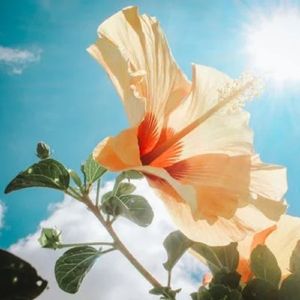 悠韵（催眠钢琴曲）