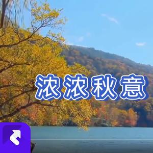 浓浓秋意 (现场)