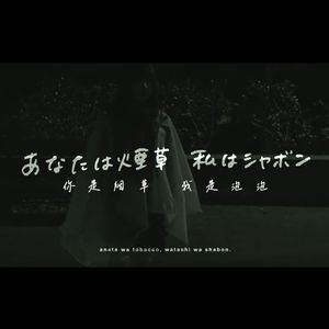 あなたは煙草 私はシャボン