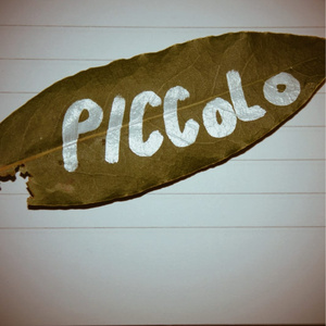 Piccolo