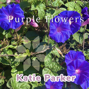 Purple Flowers (K + J Wedding Song)