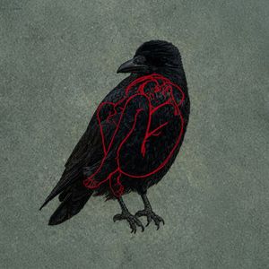 Beak
