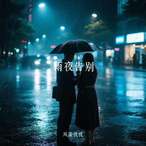 雨夜告别