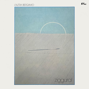 Arancione (la civetta)