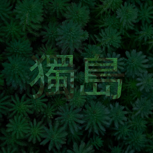 除了情怀我们一无所有demo