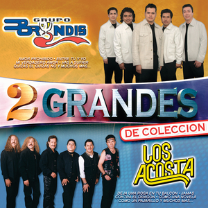 Los Chicos De La Banda (Album Version)