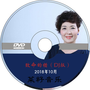 致命的错 (DJ版)