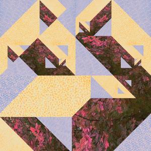 Vineyards (feat. Elena Victoria & C-Bass)