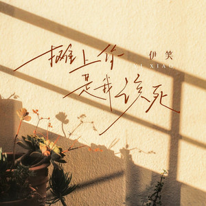 摊上你是我该死 (DJ版)