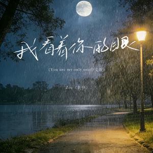 Zoe（佐伊）-我看着你的眼（You are my only one中文版）