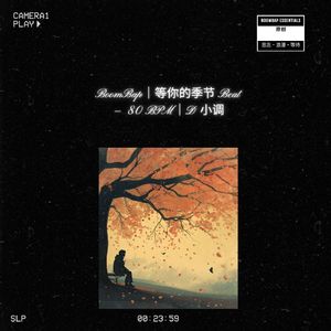 BoomBap｜等你的季节 Beat — 80 BPM｜D 小调