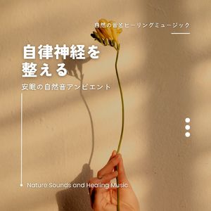 休息BGM-自律神経を整える-